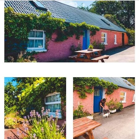 Wisteria Cottage Ballyconnell  Dış mekan fotoğraf