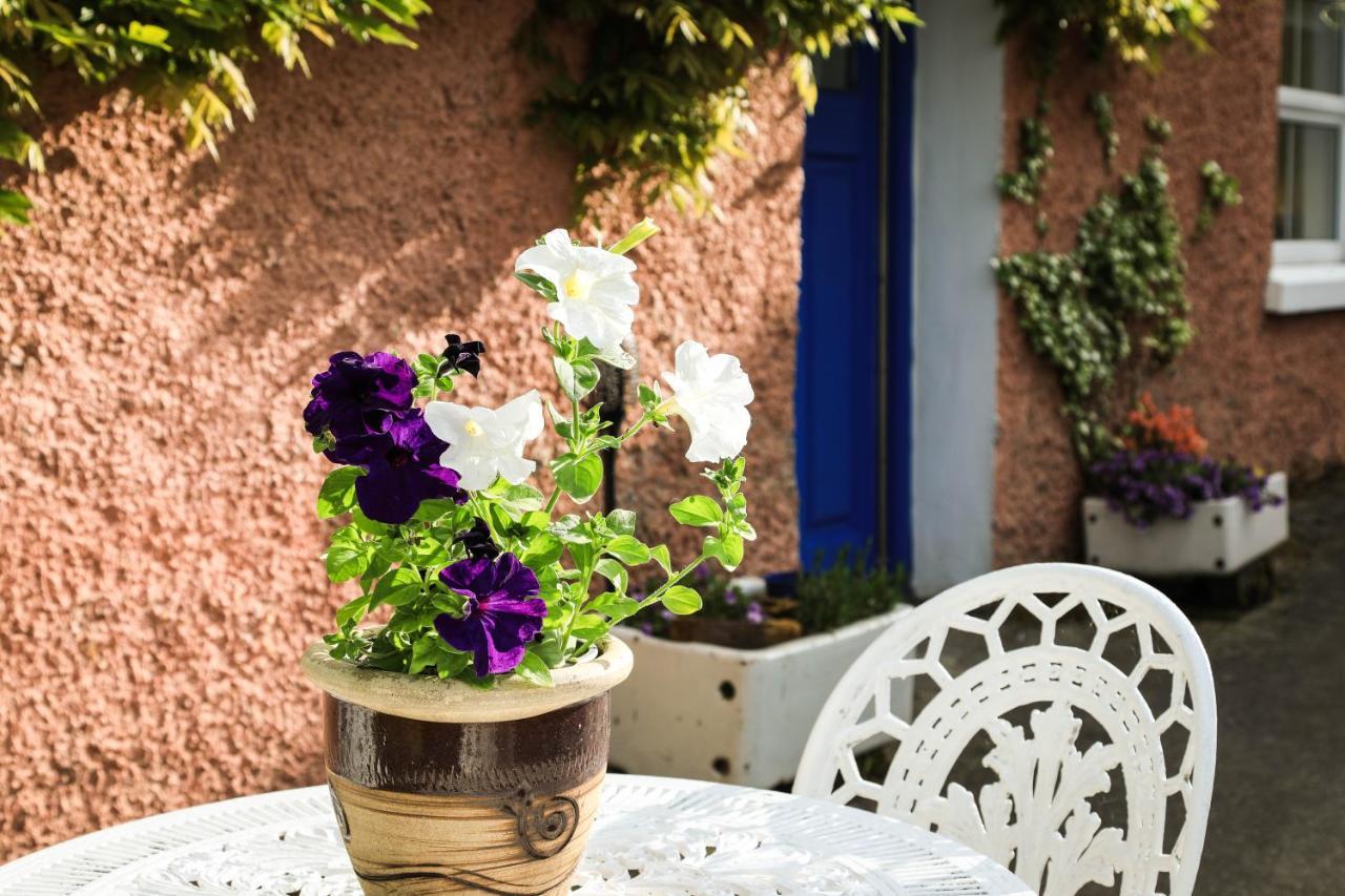 Wisteria Cottage Ballyconnell  Dış mekan fotoğraf