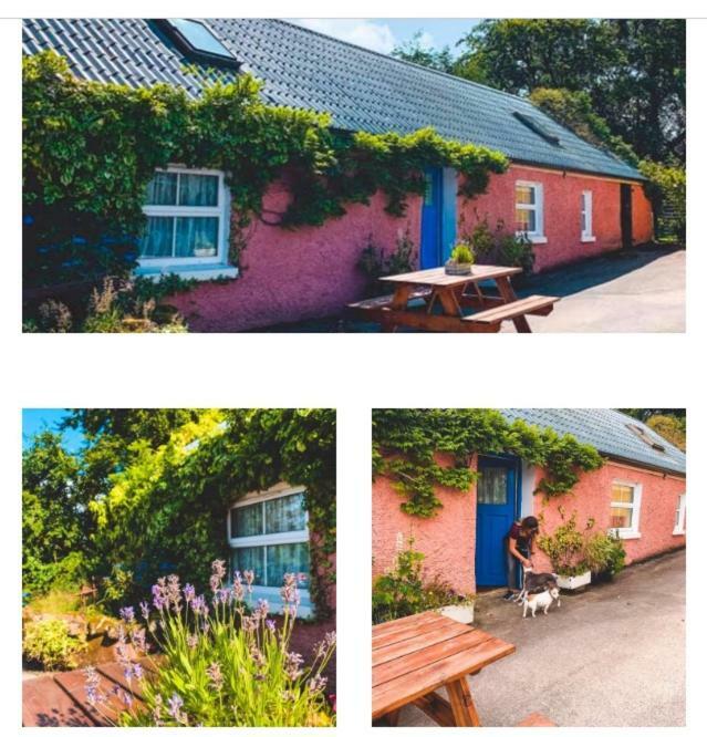 Wisteria Cottage Ballyconnell  Dış mekan fotoğraf